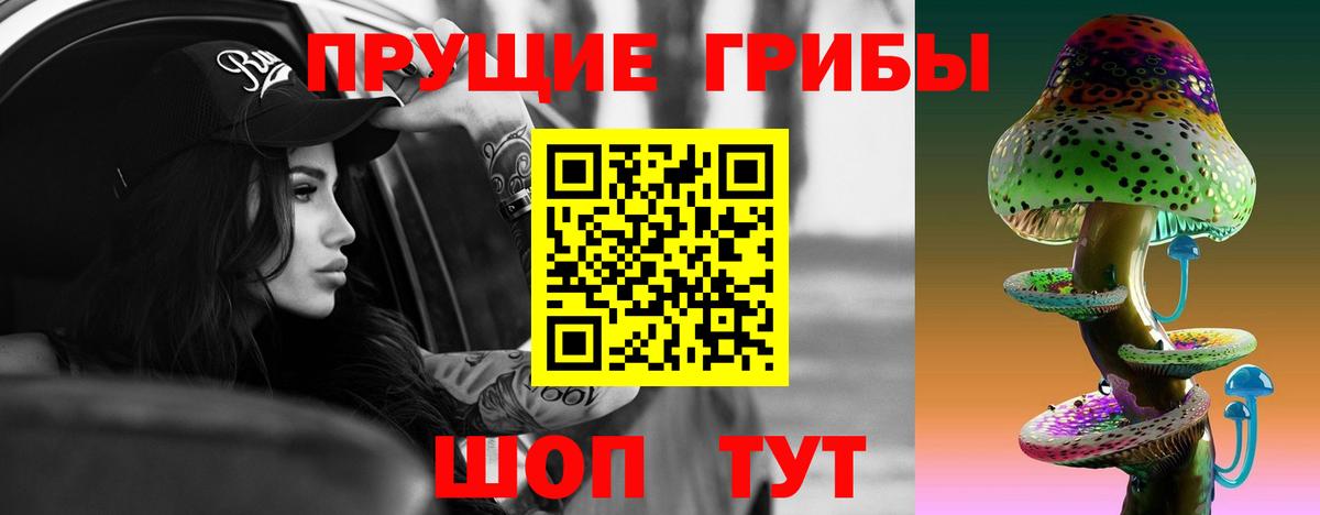 где купить наркотик  Вход с VPN  Новоуральск  Галлюциногенные грибы мицелий 